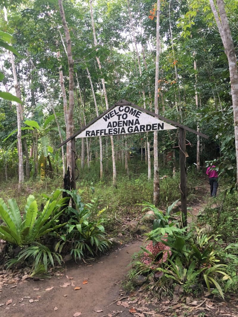 IMG_1564 Rafflesia entrance