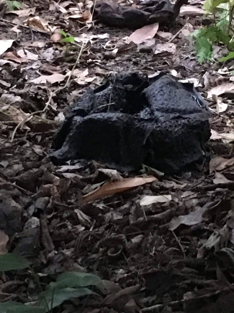 IMG_1594 Rafflesia day 3