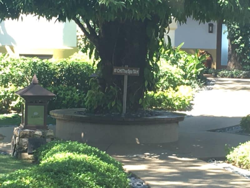 CHI Spa Sign
