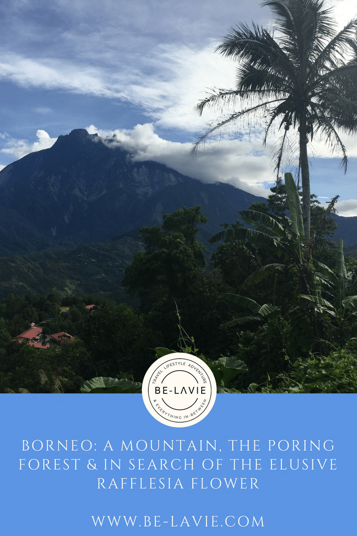 Borneo: A mountain, the poring forest and in search of the elusive rafflesia flower Borneo: A mountain, the poring forest and in search of the elusive rafflesia flower