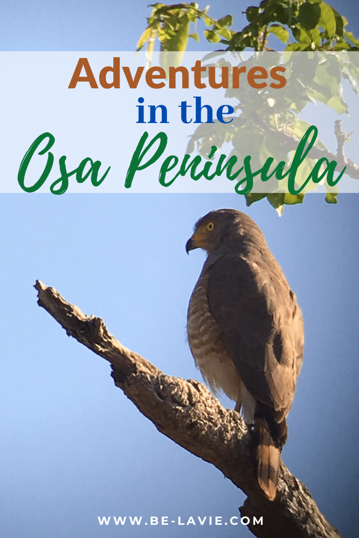 Adventures in the Osa Peninsula