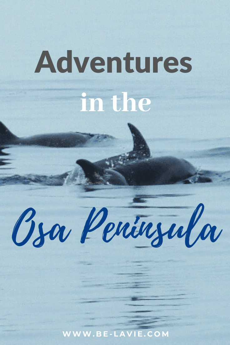 Adventures in the Osa Peninsula
