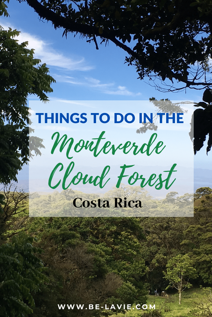 A misty stay in the Monteverde Cloud Forest