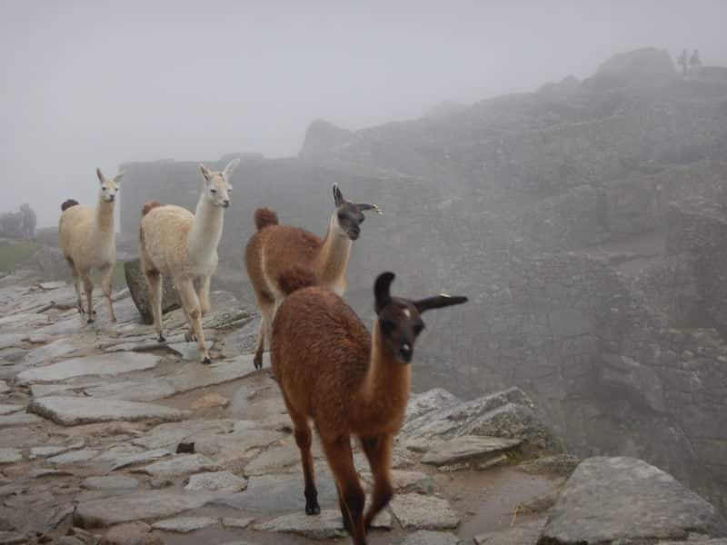 The time I spent the night at Machu Picchu with a little help from Belmond