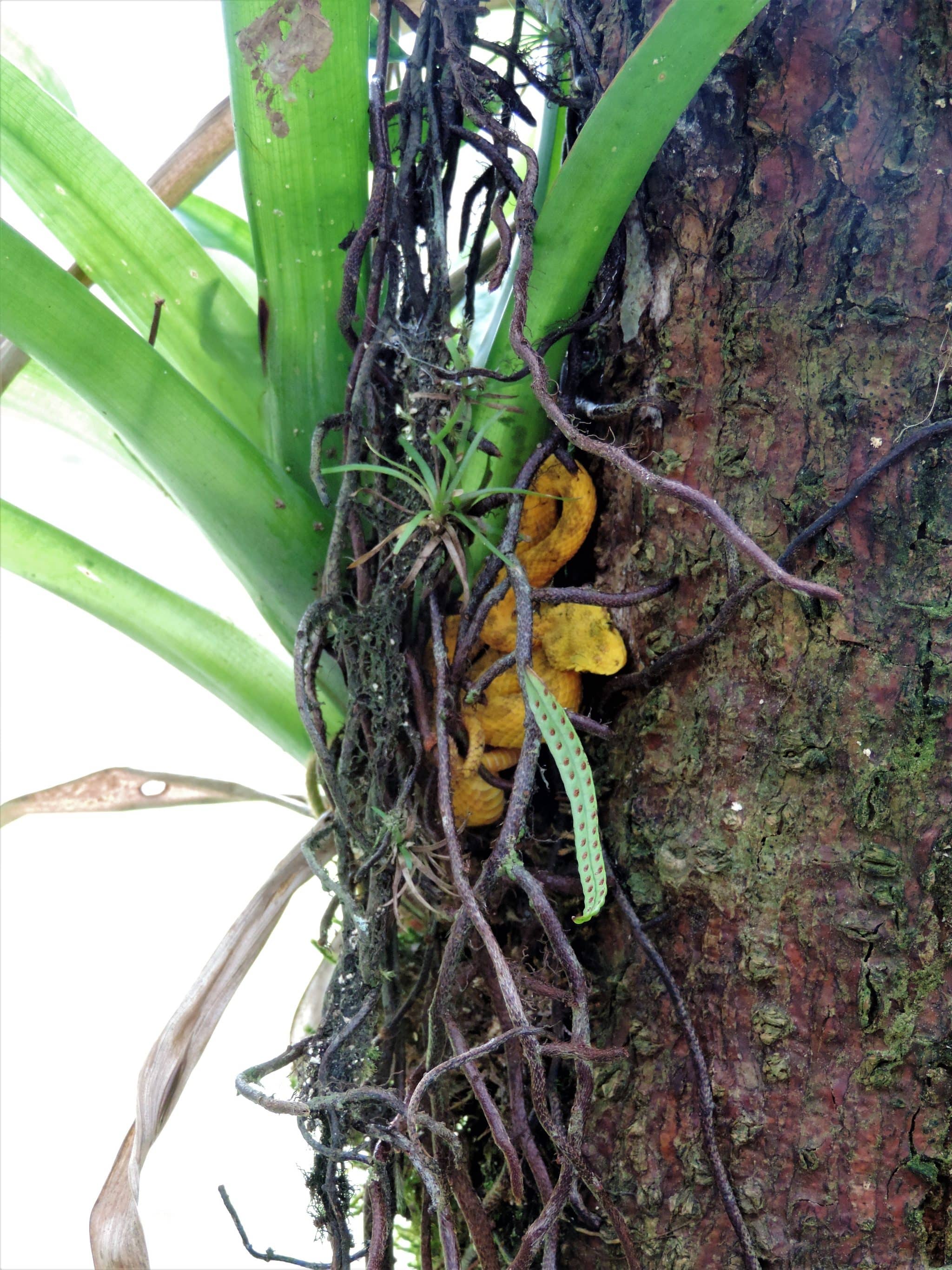A lake crossing and my very first volcano hike A lake crossing and my very first volcano hike