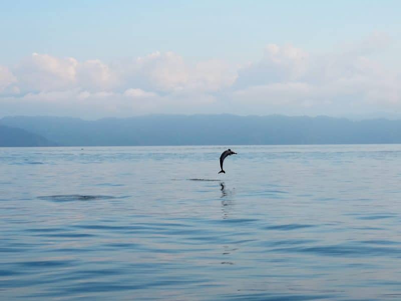 Adventures in the OSA Peninsula Adventures in the OSA Peninsula