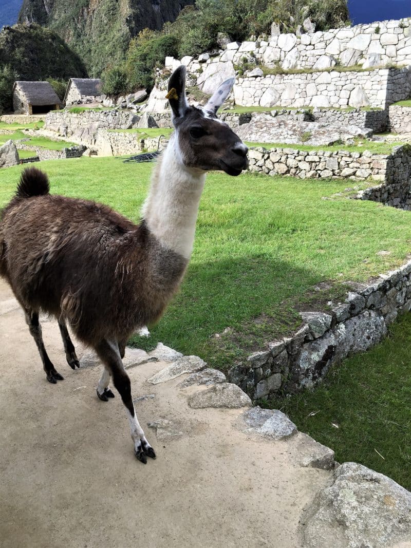 Belmond Sanctuary Lodge