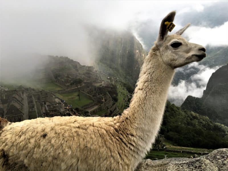 Belmond Sanctuary Lodge