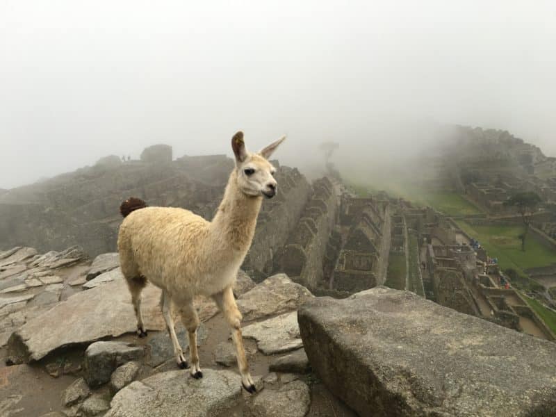 Belmond Sanctuary Lodge