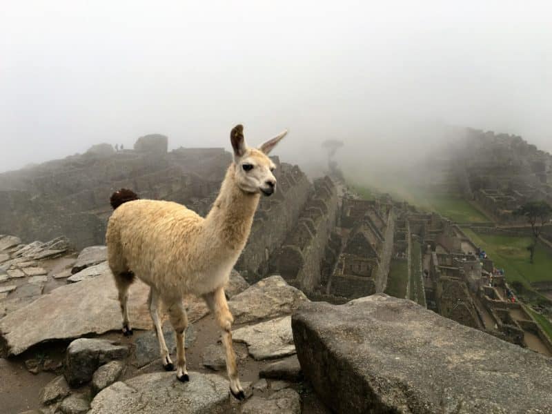 The time I spent the night at Machu Picchu with a little help from Belmond