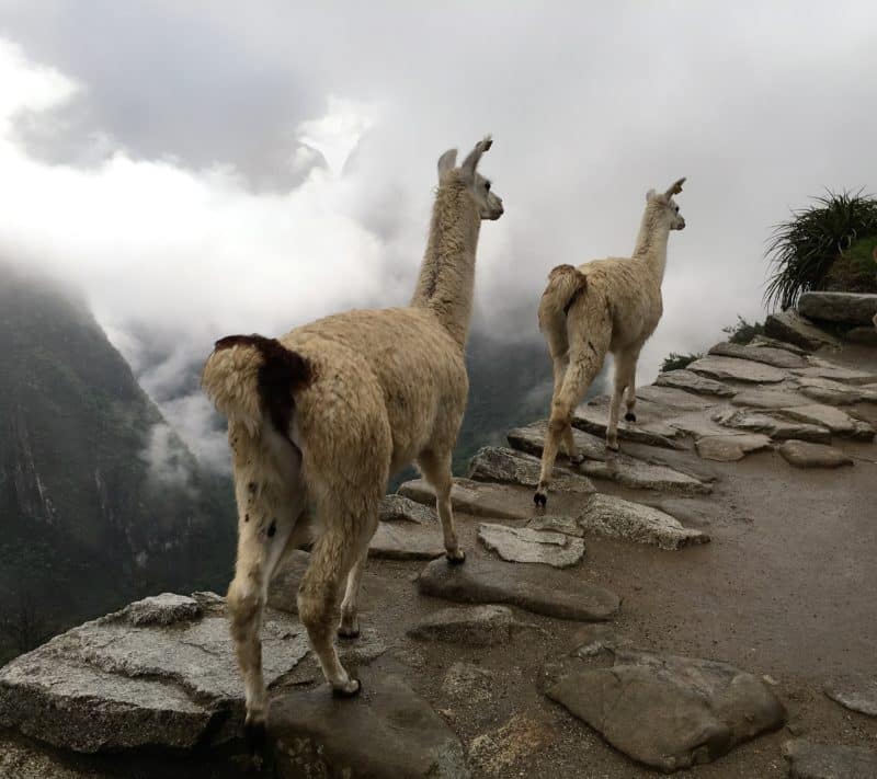 The time I spent the night at Machu Picchu with a little help from Belmond