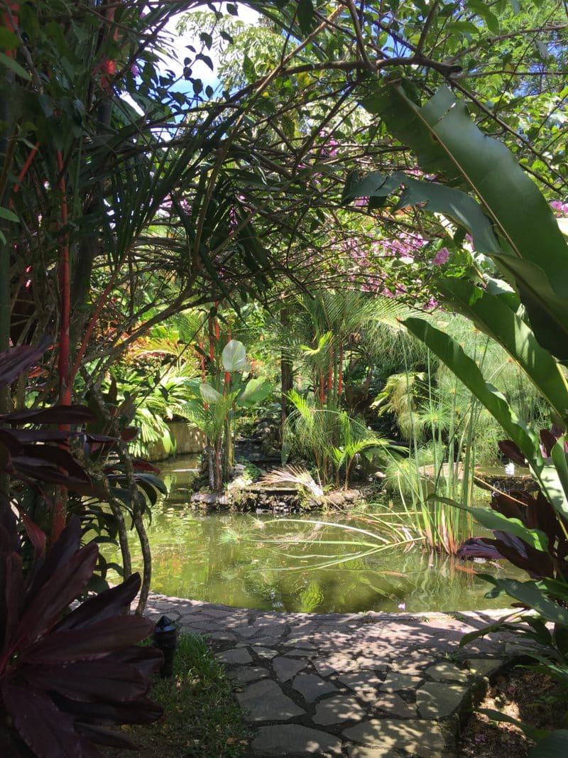 The super swish Nayara Resort Nayara , Arenal, Costa Rica The super swish Nayara Resort Fish Pond