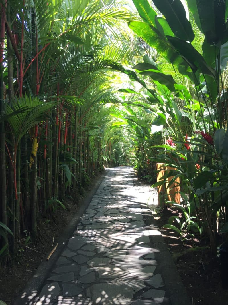 The super swish Nayara Resort Nayara , Arenal, Costa Rica The super swish Nayara Resort Lush stobe walkways
