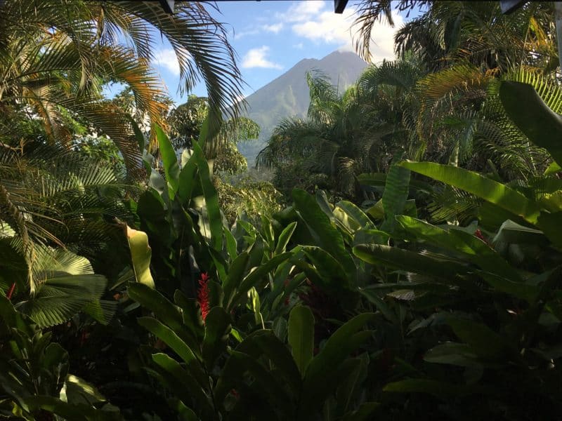 The super swish Nayara Resort Nayara , Arenal, Costa Rica The super swish Nayara Resort Volcano views from bed