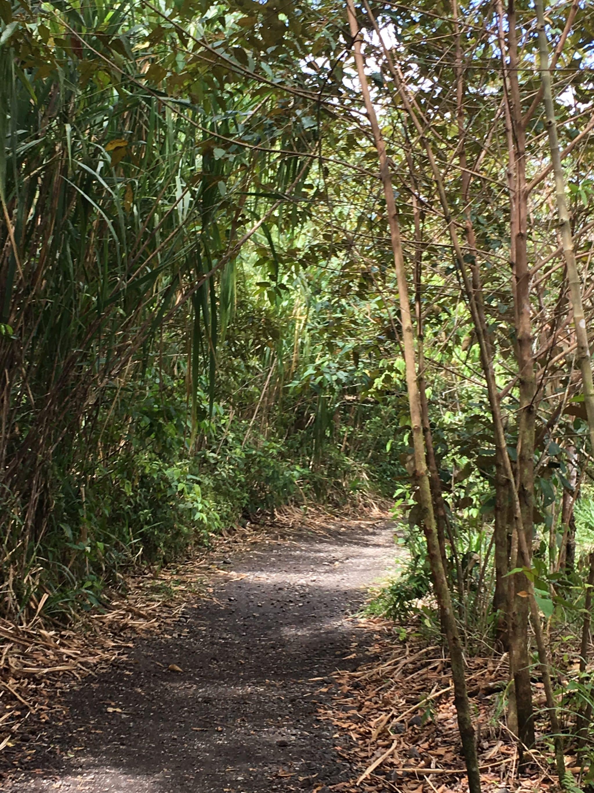 A lake crossing and my very first volcano hike A lake crossing and my very first volcano hike