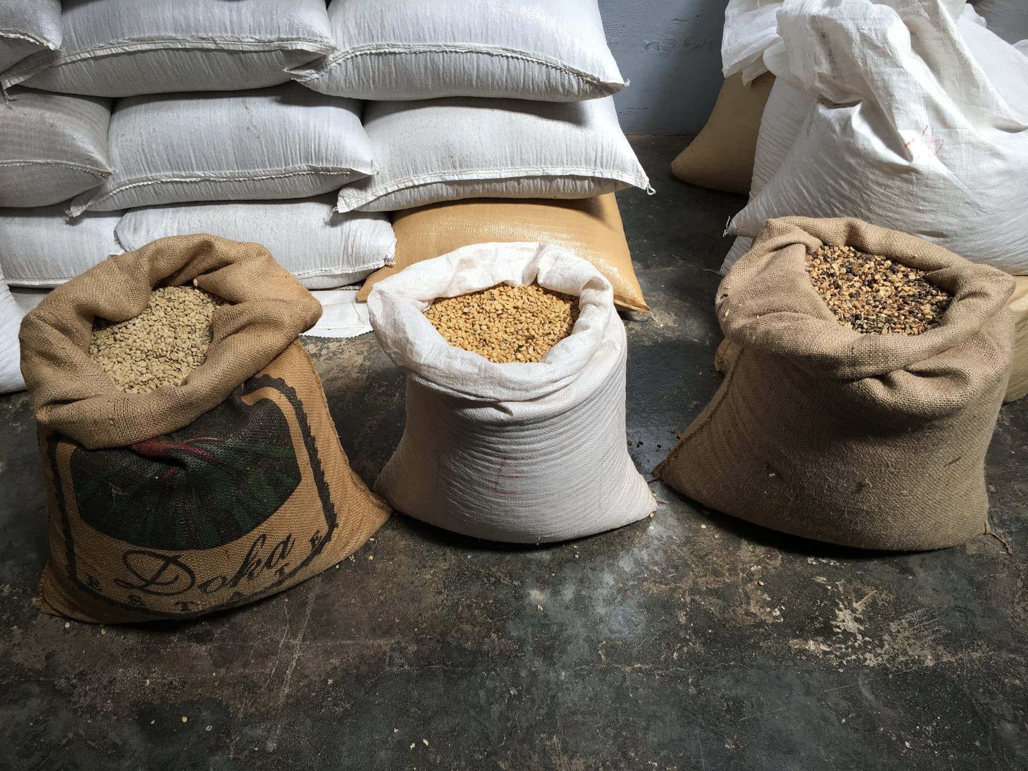 Costa Rica's Cosmopolitan Capital, San Jose