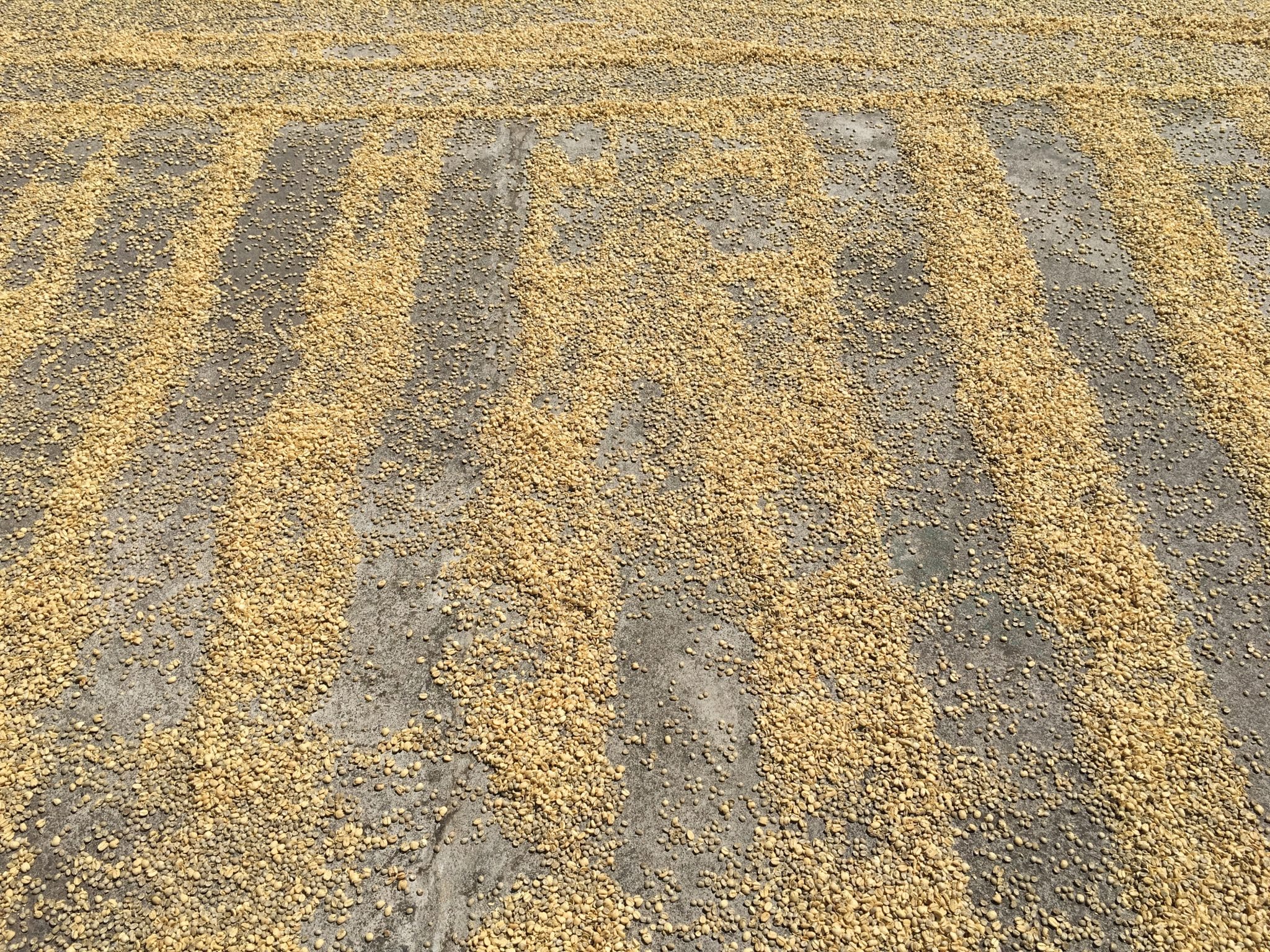 Costa Rica's Cosmopolitan Capital, San jose