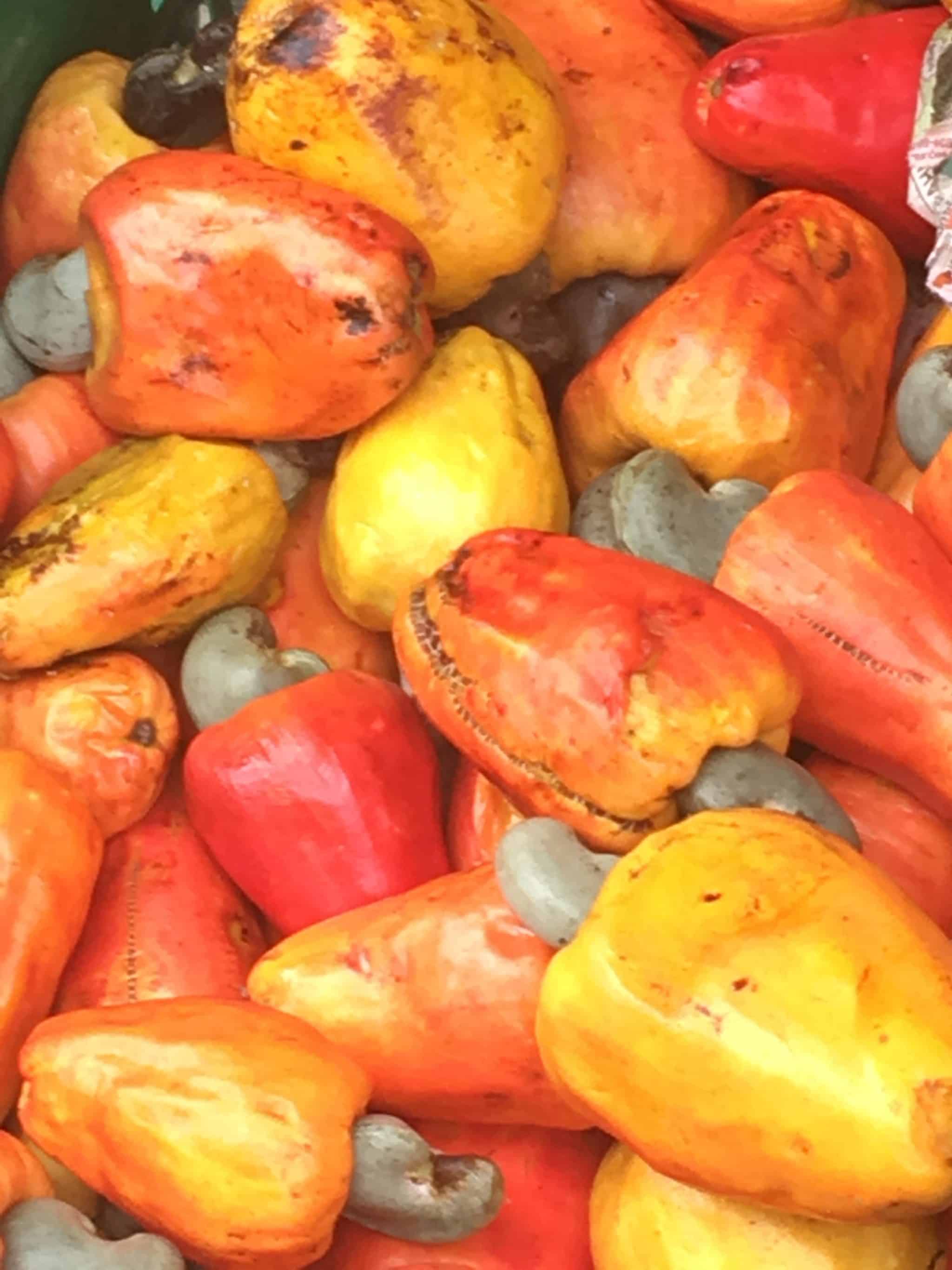 Costa Rica's Cosmopolitan Capital, San Jose