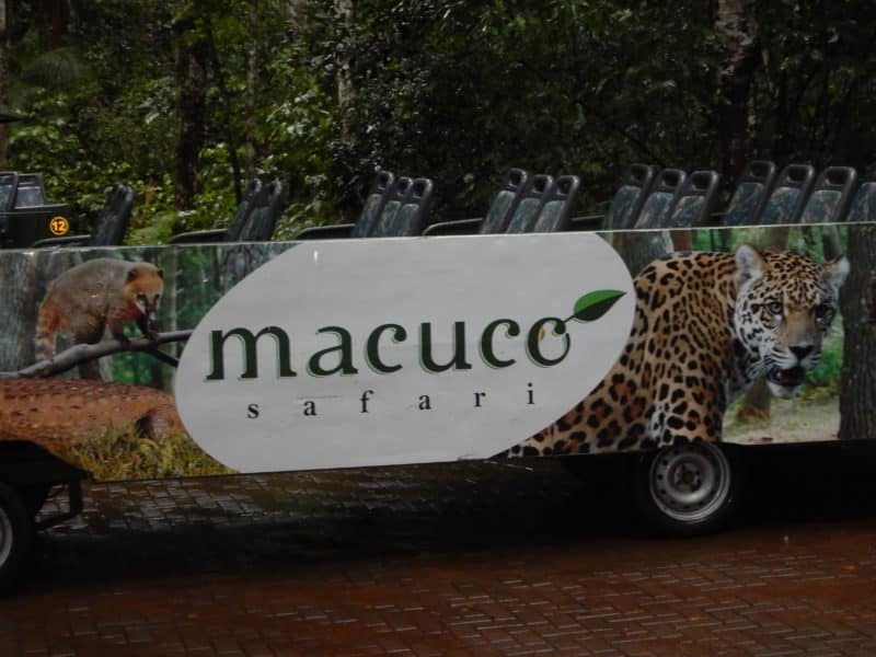 Five ways to experience Iguazu Falls