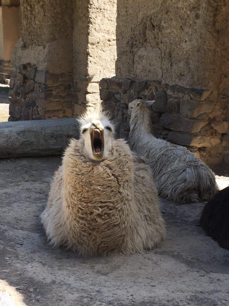 A Day Exploring the Sacred Valley of the Incas