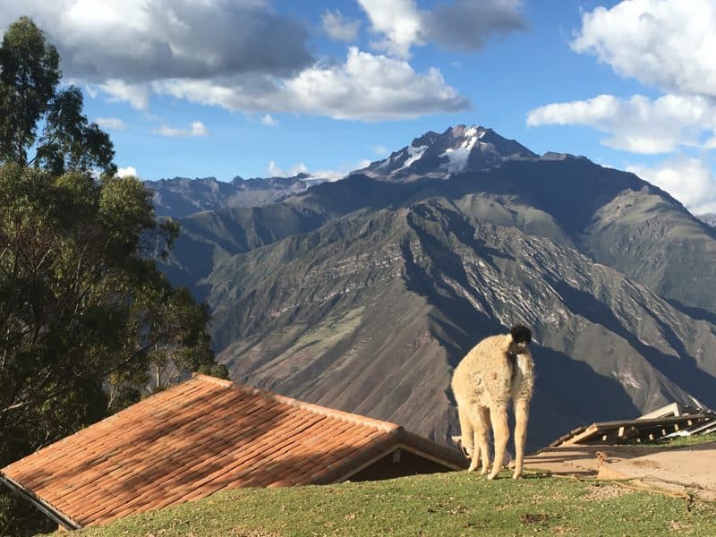 A Day Exploring the Sacred Valley of the Incas