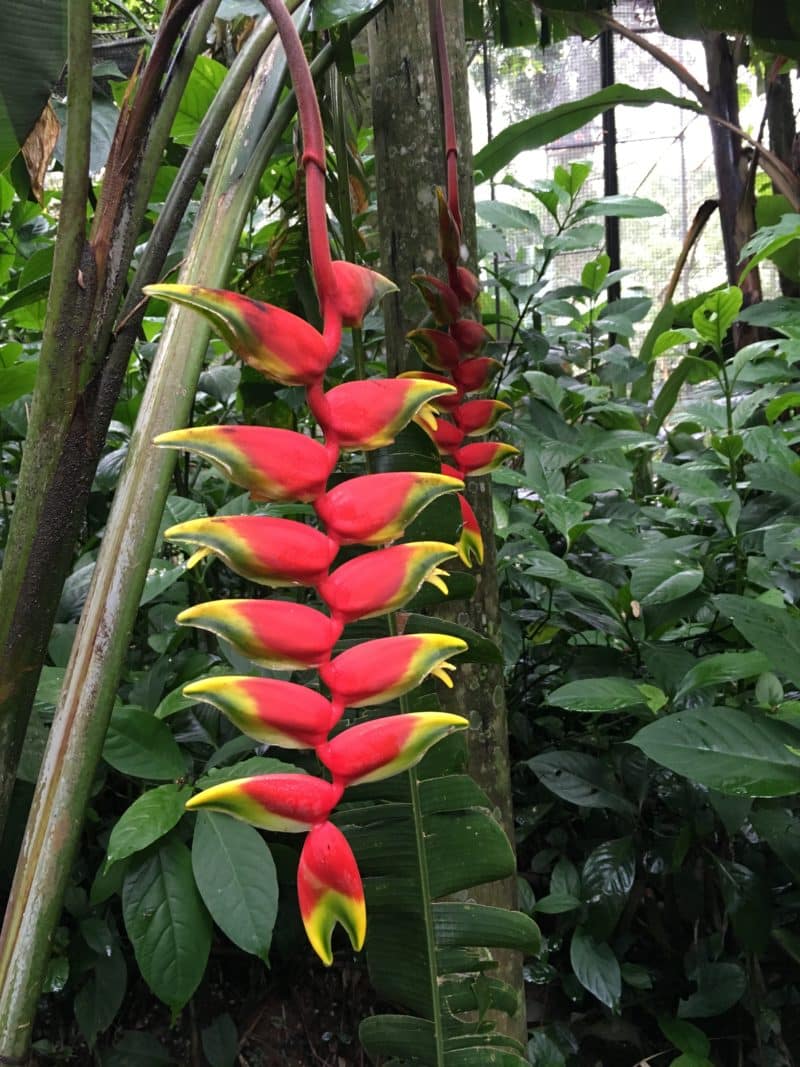 Five ways to experience Iguazu Falls