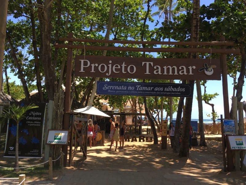 Dreamy fishing village relaxation at Praia do Forte, Brazil