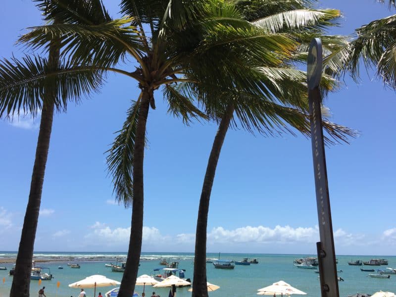 Dreamy fishing village relaxation at Praia do Forte, Brazil