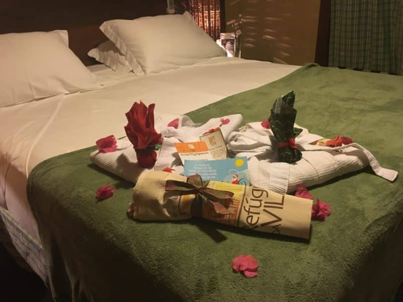 Dreamy fishing village relaxation at Praia do Forte, Brazil