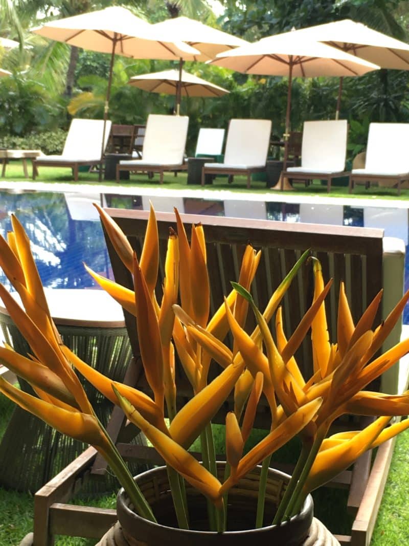 Dreamy fishing village relaxation at Praia do Forte, Brazil