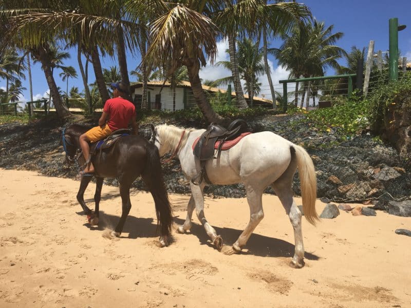 Dreamy fishing village relaxation at Praia do Forte, Brazil