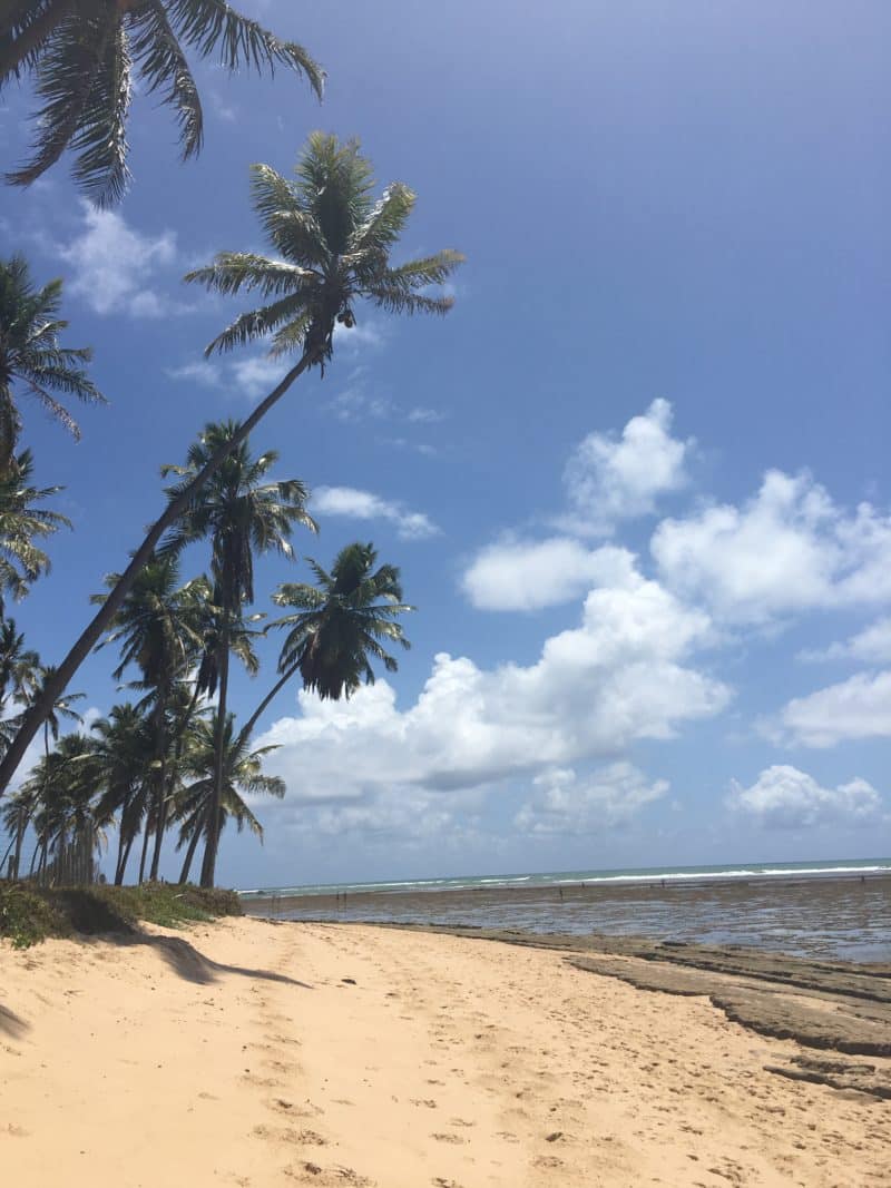 Dreamy fishing village relaxation at Praia do Forte, Brazil