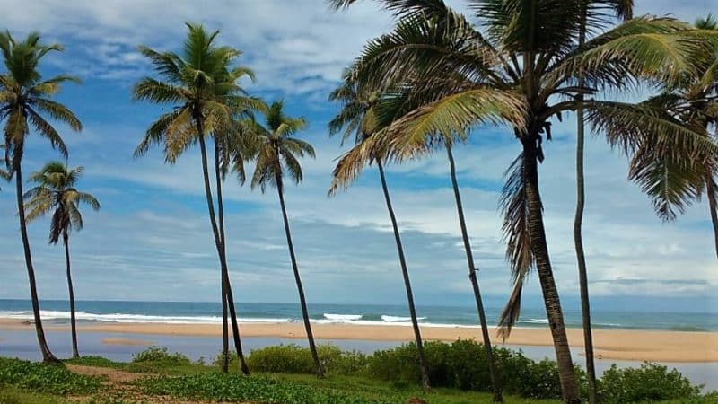 Dreamy fishing village relaxation at Praia do Forte, Brazil