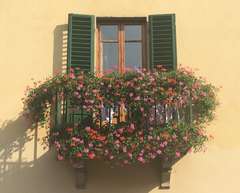 Tuscany wine tours: Are you a Chianti convert?