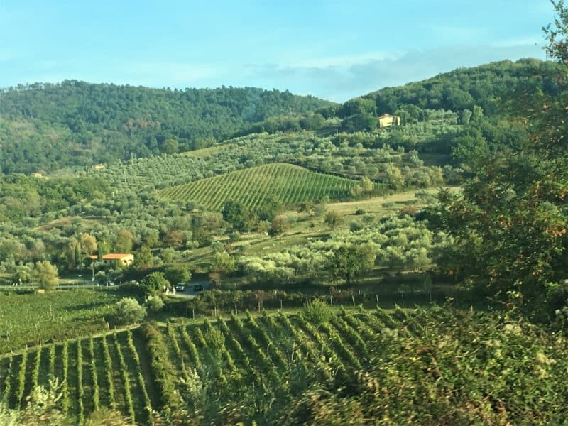 Tuscany wine tours: Are you a Chianti convert?