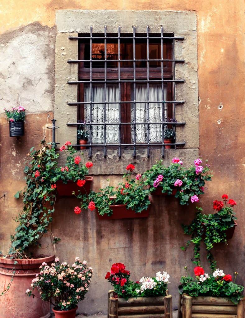 Tuscany's Medieval Towns: Cortono flower window