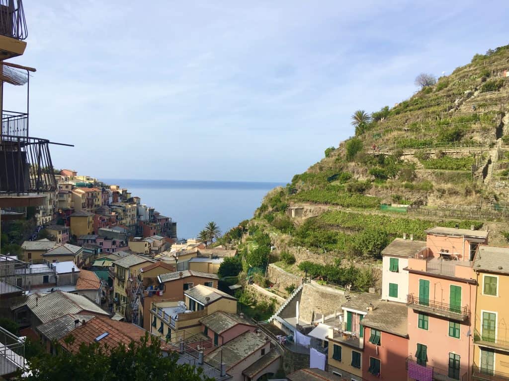 Manarola Vineyards with sea views, Cinque Terre