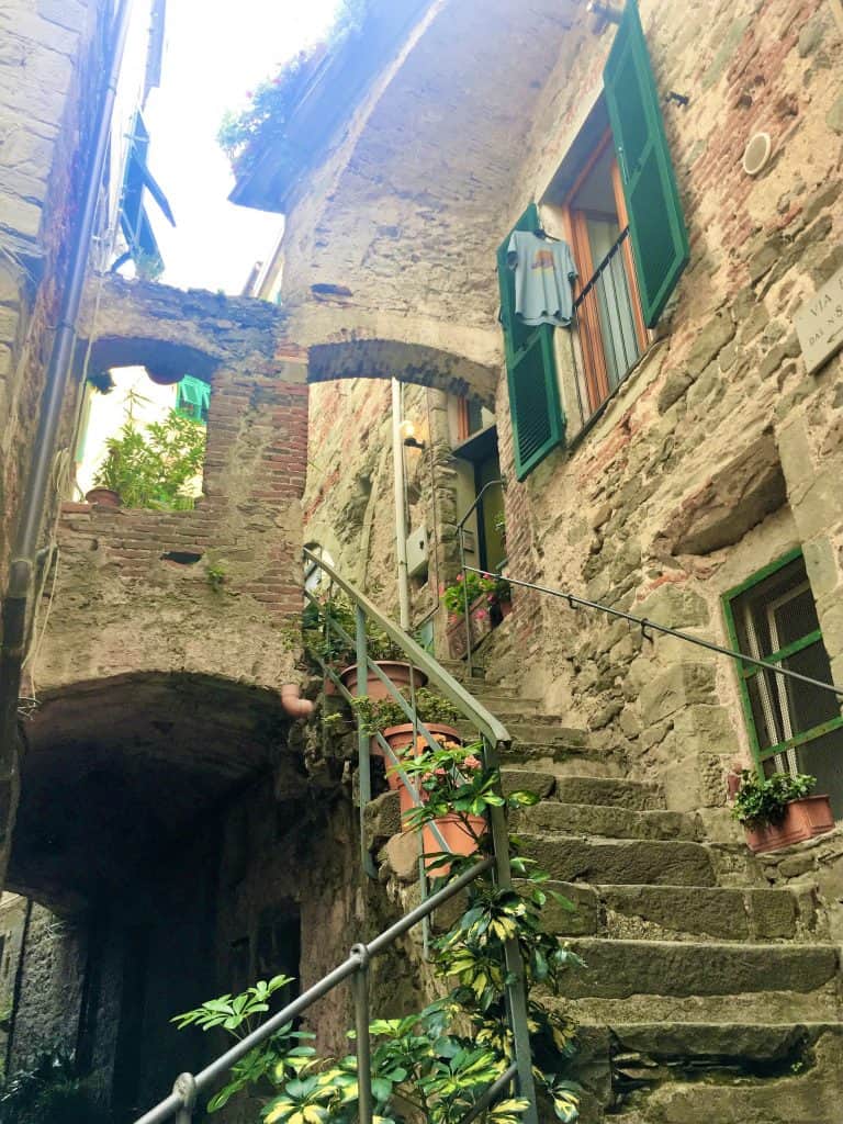 Vernazza stairs with stairs and plant pots