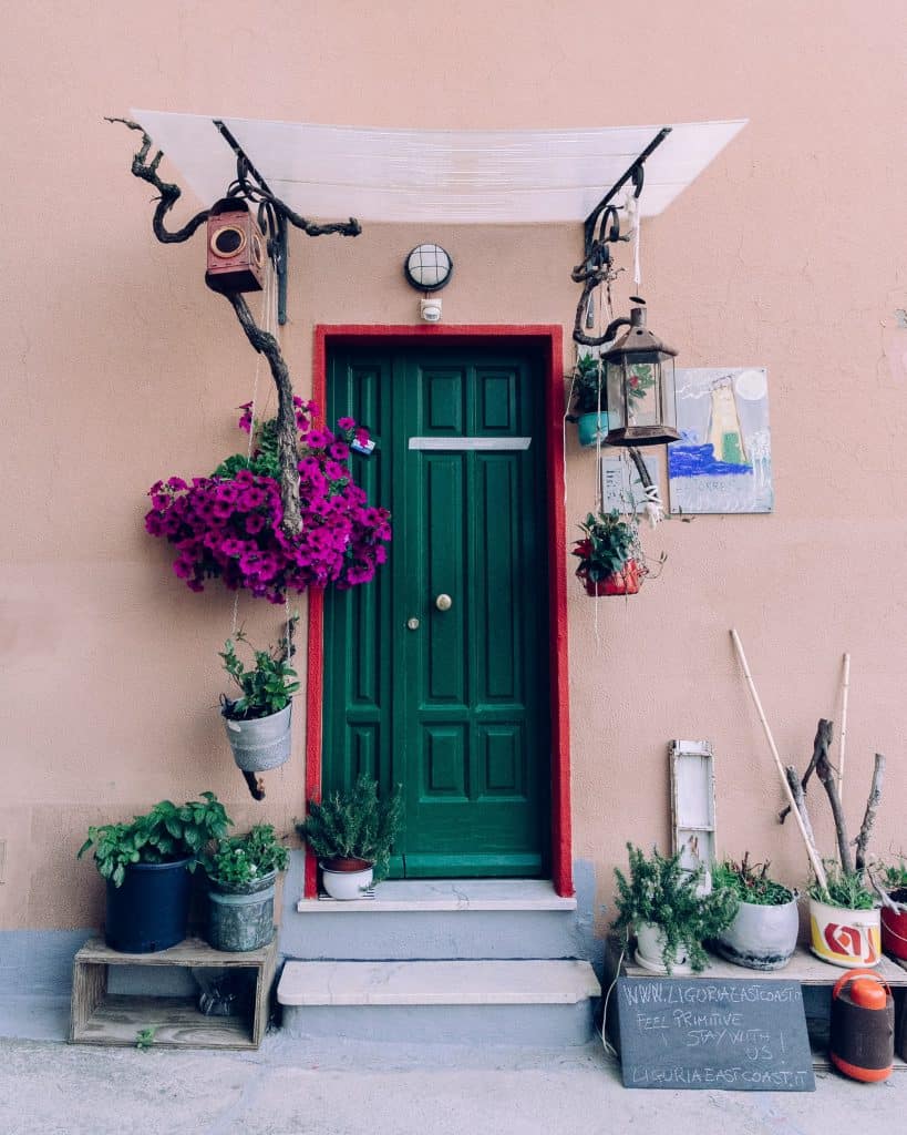 Green Door in Cinque Terre with pink flowers
