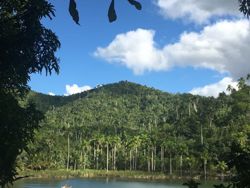 Your ultimate must-see list for Havana. Cuba