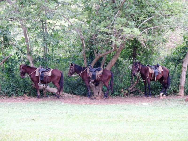 The Valle de Viñales: Cuba's rural farming landscape The Valle de Viñales: Cuba's rural farming landscape