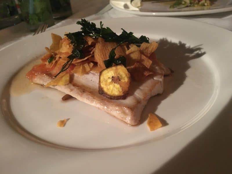 Cuba's UNESCO Biosphere Reserve, Las Terrazas 