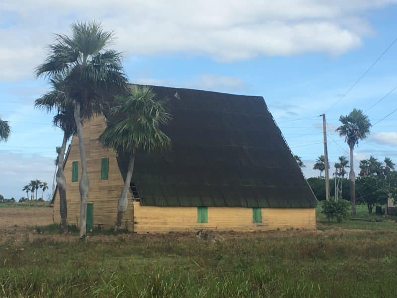 The Valle de Viñales: Cuba's rural farming landscape The Valle de Viñales: Cuba's rural farming landscape