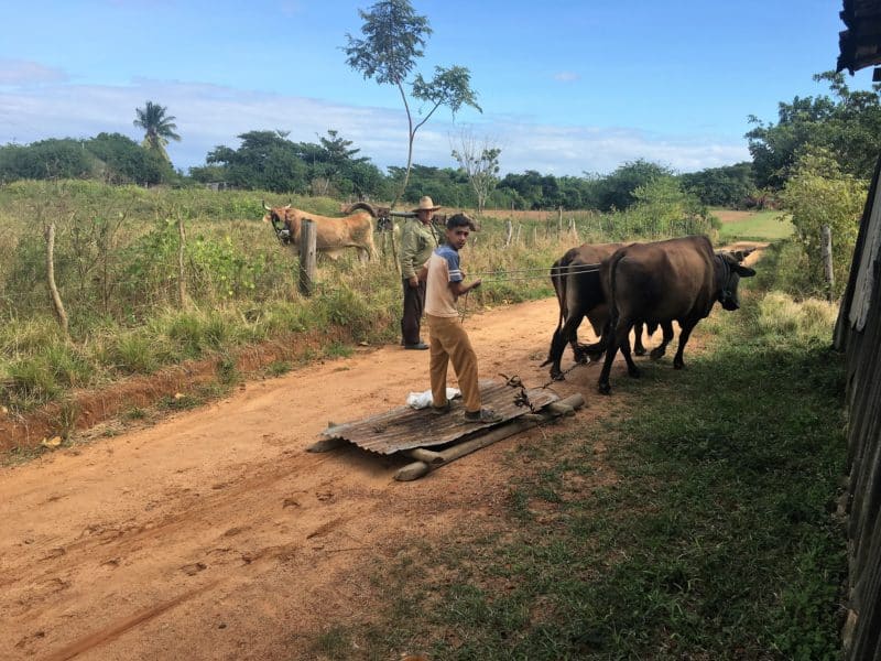 The Valle de Viñales: Cuba's rural farming landscape The Valle de Viñales: Cuba's rural farming landscape