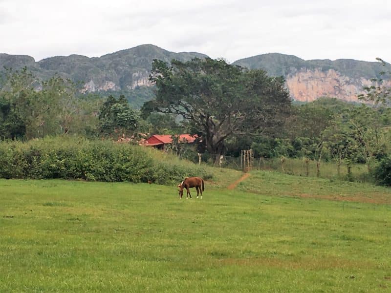 The Valle de Viñales: Cuba's rural farming landscape The Valle de Viñales: Cuba's rural farming landscape