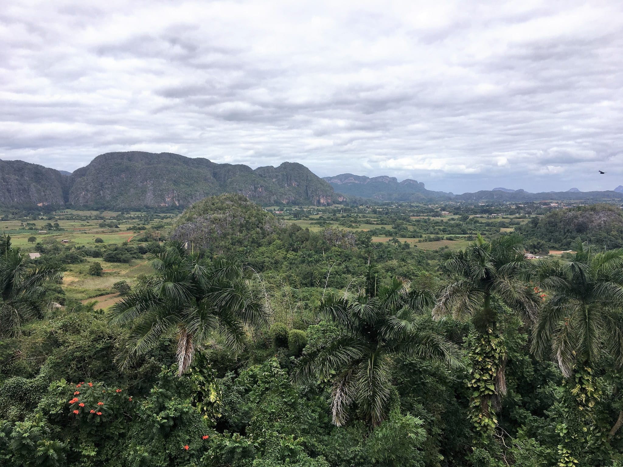 Valle de Viñales Sierra de los Organos