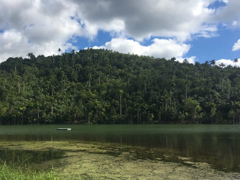 Cuba's UNESCO Biosphere Reserve, Las Terrazas 