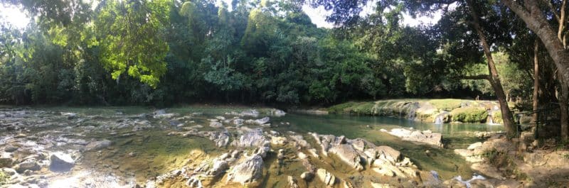Cuba's UNESCO Biosphere Reserve, Las Terrazas 