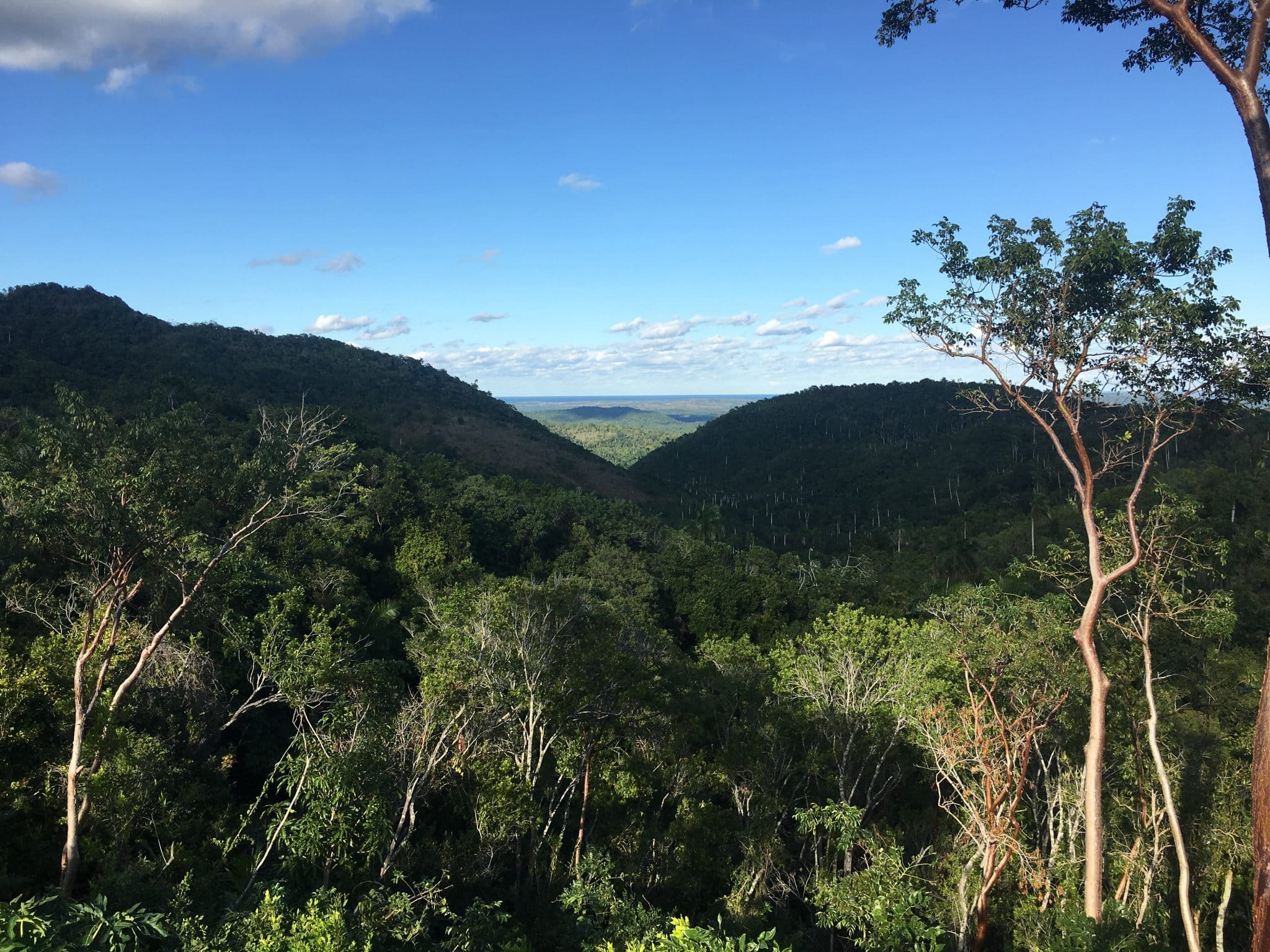 Cuba's UNESCO Biosphere Reserve, Las Terrazas Cafetal Buenavista Views