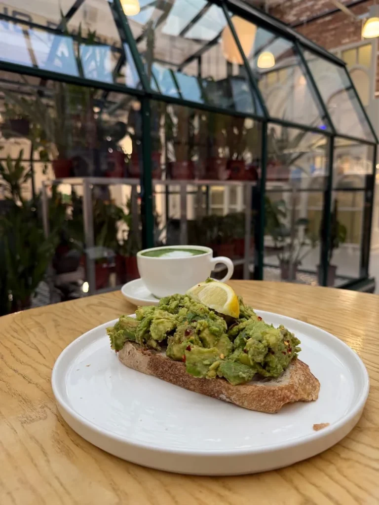 Avocado toast on a white plate with a Matcha on a brown table top at Public & Plants, Leicester. The greenhouse is the backdrop for the dish and Matcha.